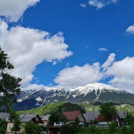 Guesthouse Osvald ゴレンスカ地方 エクステリア 写真