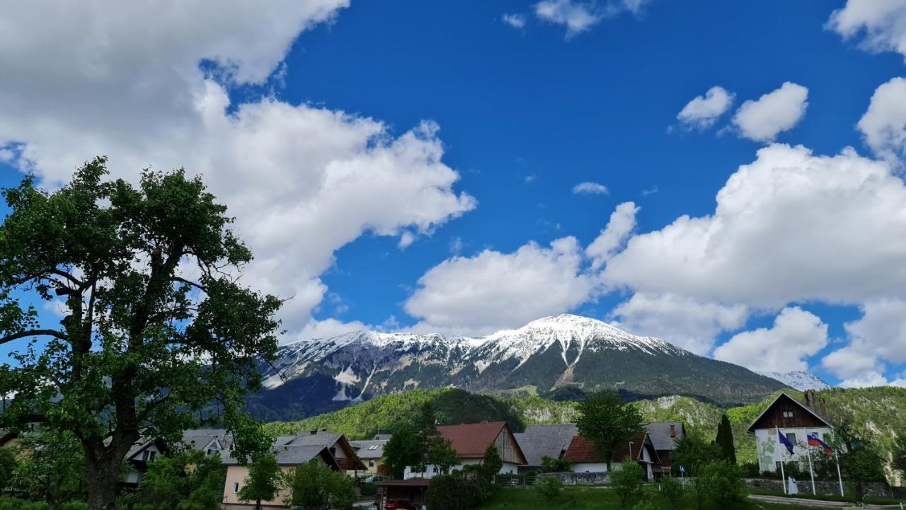 Guesthouse Osvald ゴレンスカ地方 エクステリア 写真
